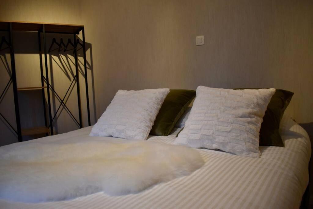 Vernieuwd Appartement Op 200M Van De Zee Ostenda Esterno foto